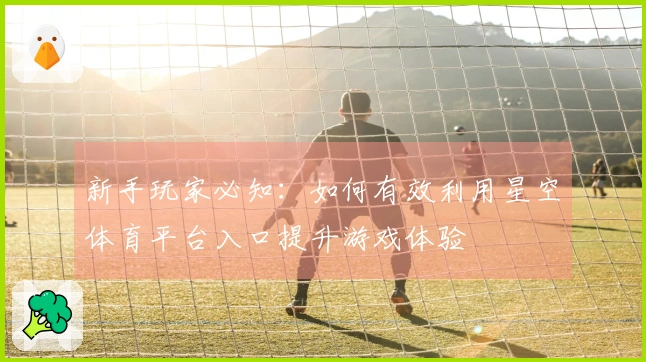 新手玩家必知：如何有效利用星空体育平台入口提升游戏体验